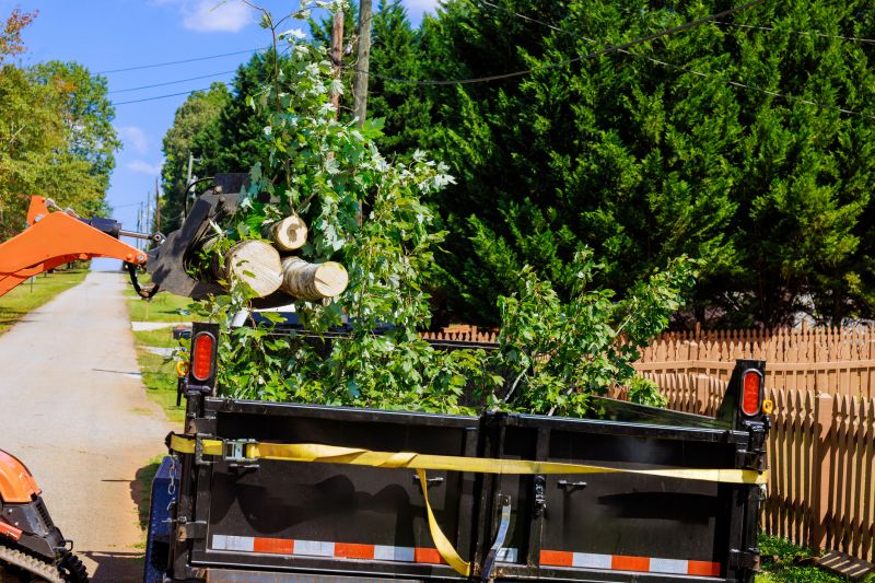 Products For Tree Debris Removals in use