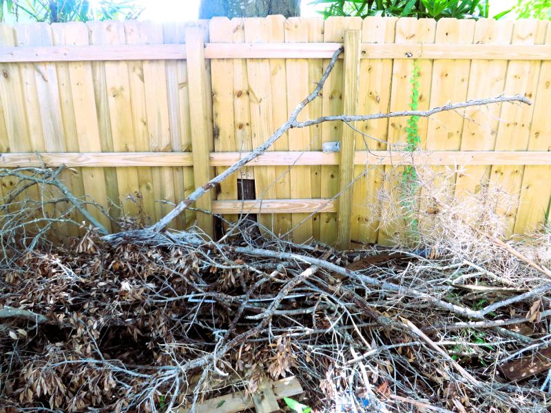 Tree Branch Disposal in Ventura County, CA