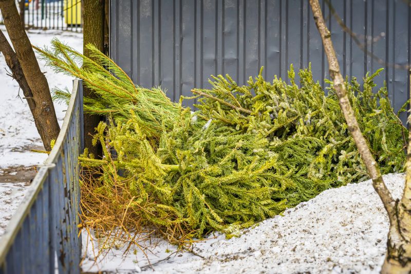 Tree Debris Removal Costs — Cost of Tree Debris Removal
