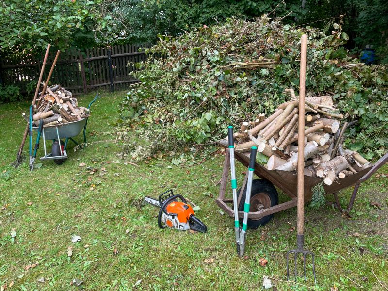 Tree Debris Removal Costs — Cost of Tree Debris Removal