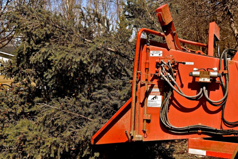 Equipment for Tree Debris Removal