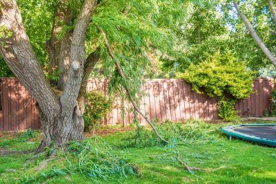 Get Lawn Debris Removed from Your Property!