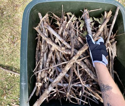 Keep Your Lawn Tidy by Removing Lawn Debris!
