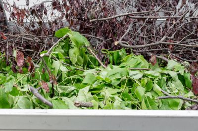 Yard Debris Can Create an Obstruction in Your Yard!